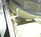 E2138C5C-0994-4F5F-97A4-C6583685CB65.jpeg