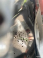 IMG_4820.JPEG