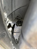 IMG_7375.jpeg