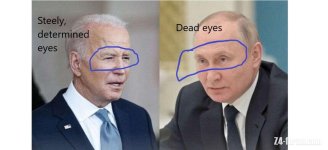 Steely eyes.jpg Steely eyes.jpg