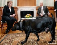 160112113934-merkel-putin-dog-1.jpg