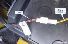Loom and Sensor.jpg