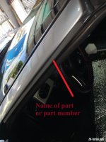 window strip2.jpg