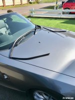 IMG_4126.jpeg