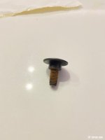 IMG_1487.jpeg