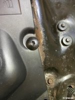 IMG_1504.jpeg