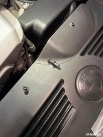 IMG_1506.jpeg
