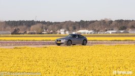 Z4 tussen de bollen (23 of 35).jpg