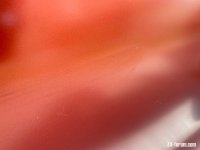 9982E9AD-6499-499A-B15C-D80F63F23BC2.jpeg