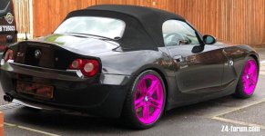 Pink.jpg