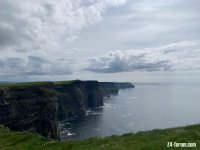 E632C81F-FAC6-4C0C-9785-23225E59279F.jpeg