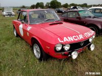 Fulvia HF.jpg