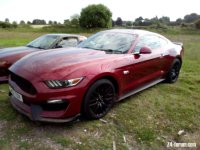 Mustang GT.jpg