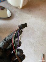IMG_5331.jpeg IMG_5331.jpeg