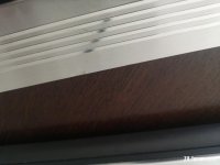 IMG_20220617_162952.jpg