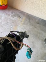 IMG_5481.jpeg IMG_5481.jpeg