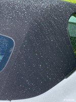 IMG_1516 2.jpg