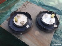IMG_20220629_104733.jpg