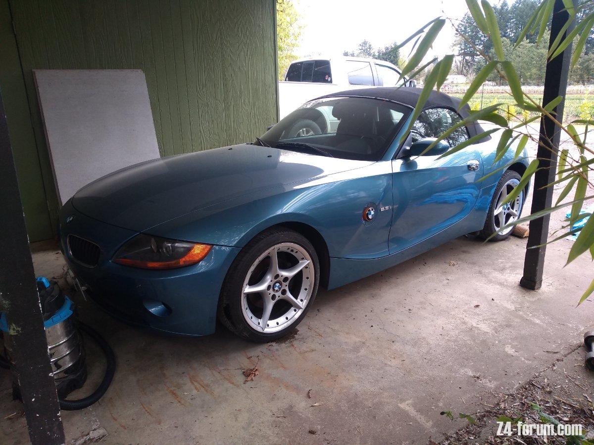 z4.jpg