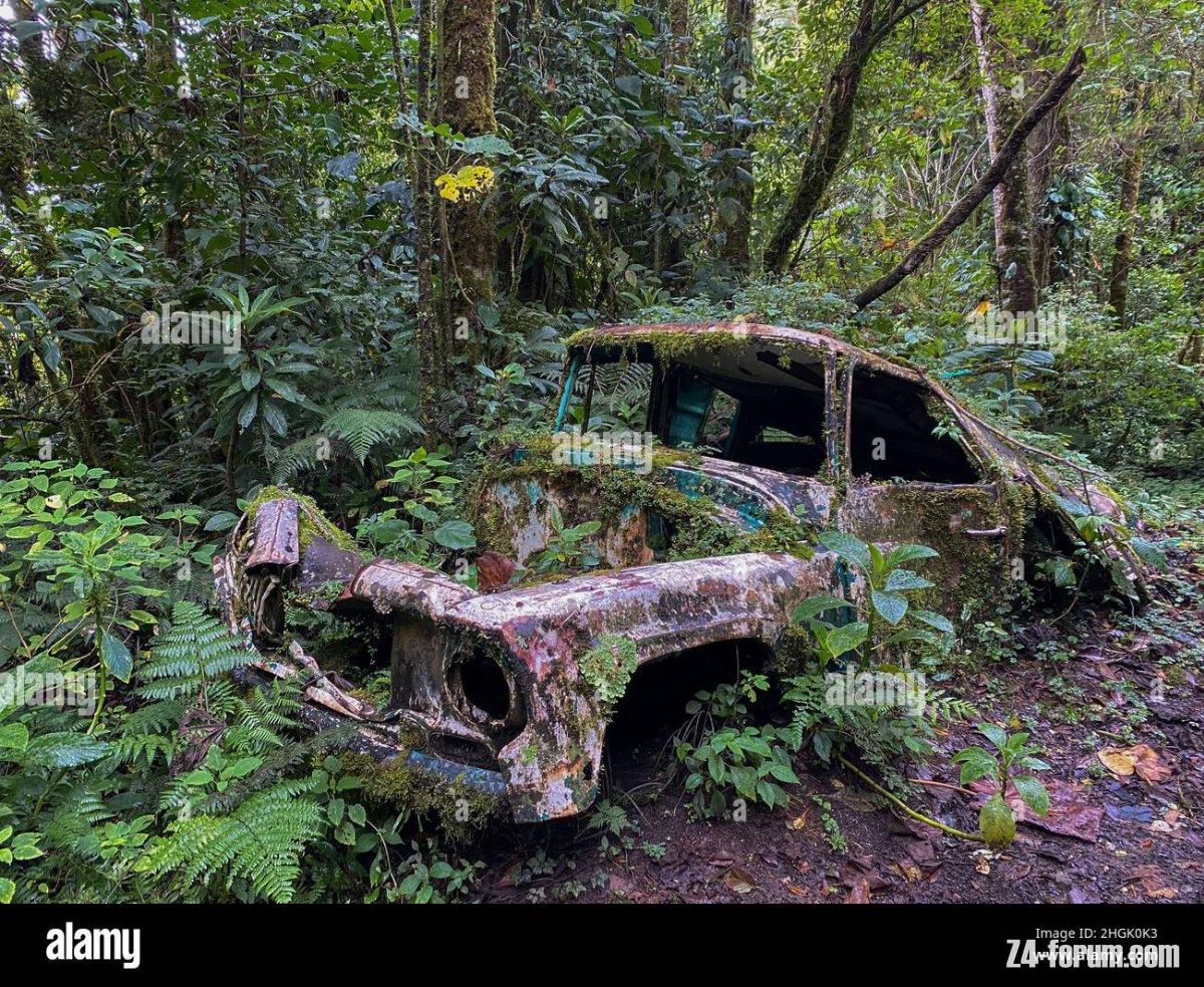 rotten-car-in-the-deep-jungle-of-panama-2HGK0K3.jpg