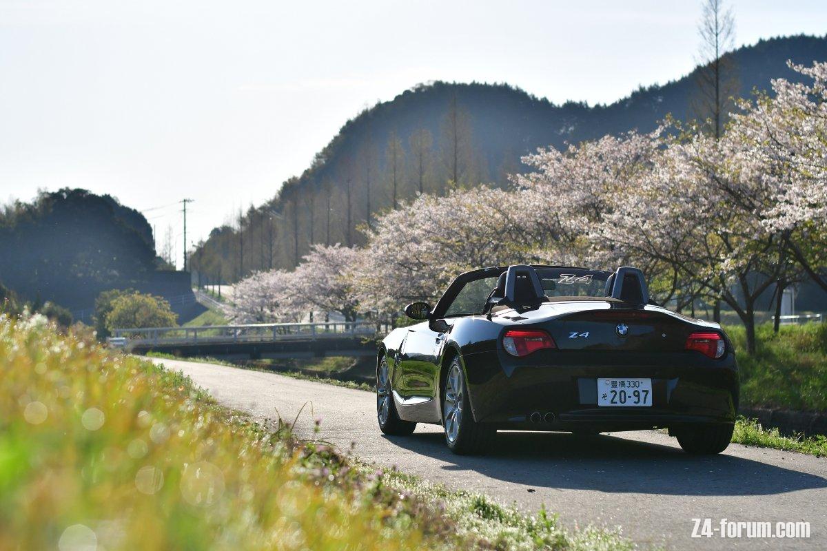 DSC_8663.jpg