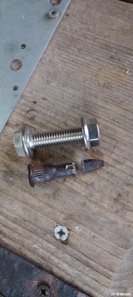 Replacement Stainless Steel Flange Bolts and Flange Nuts