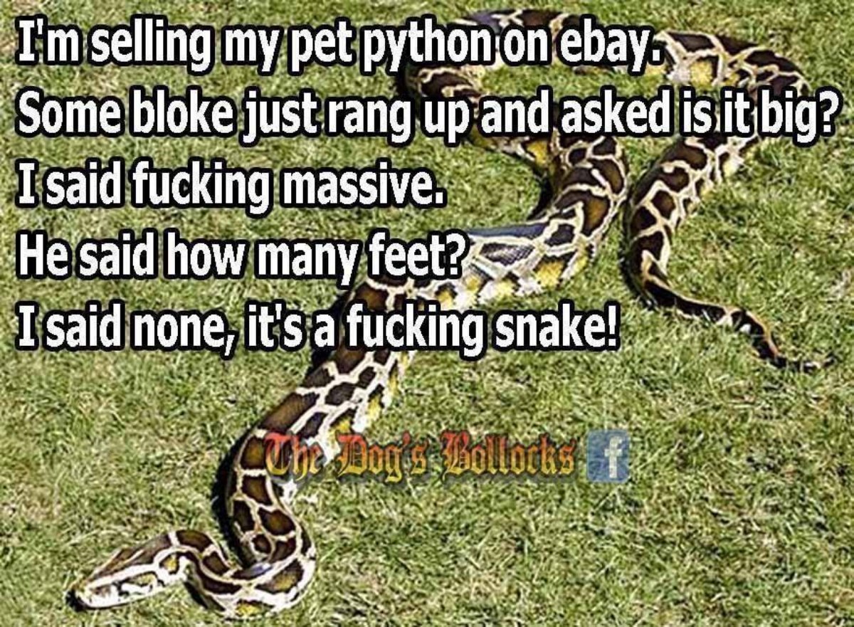 Fummy Snake.jpg