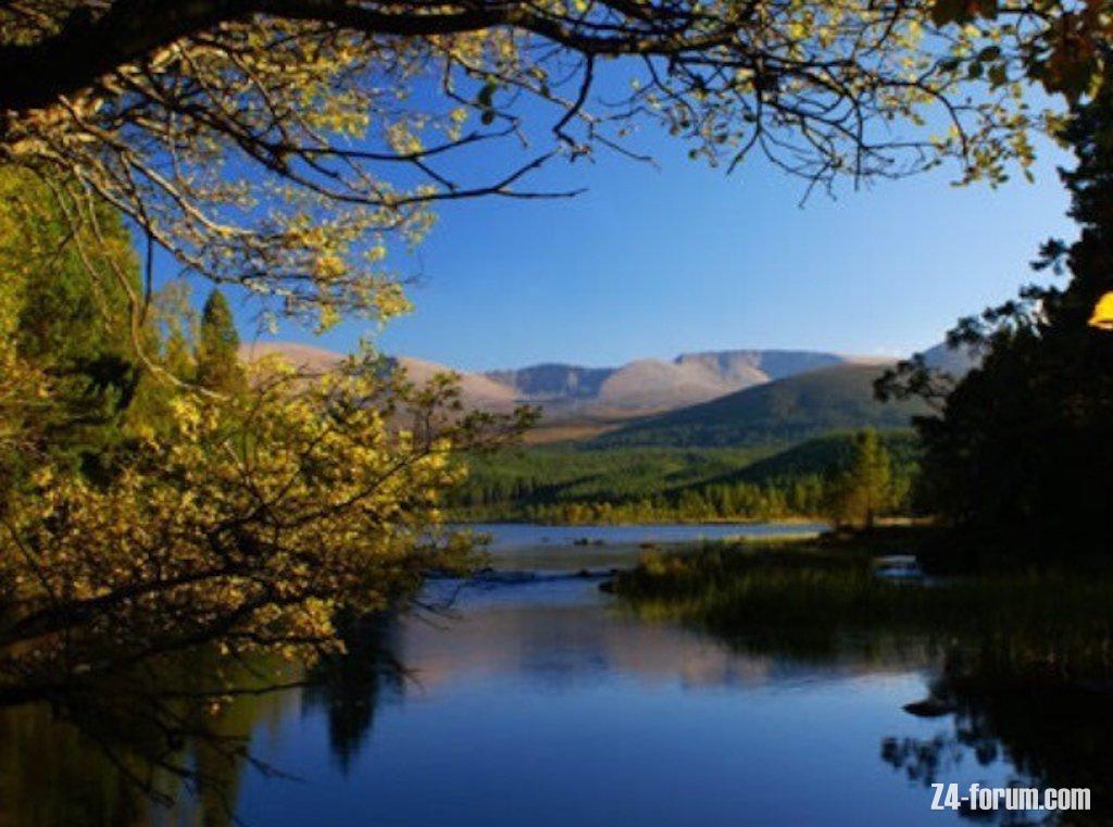 GIMP-william-shropshire_Cairngorm-Mountain-from-Loch-Morlich.jpeg