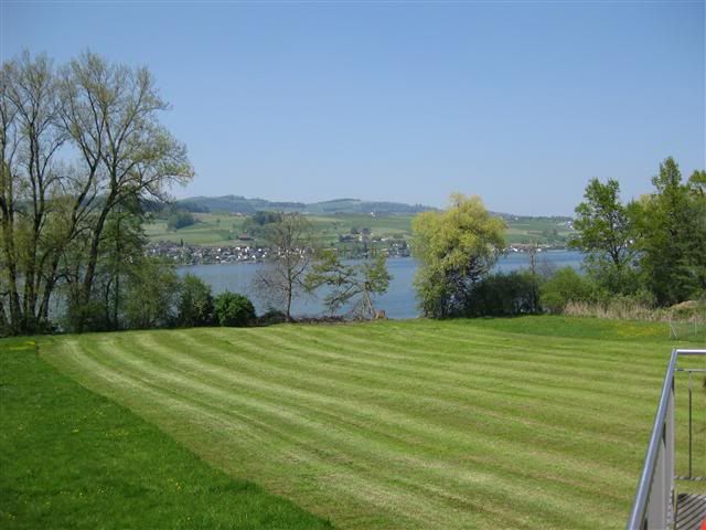 IMG4.jpg