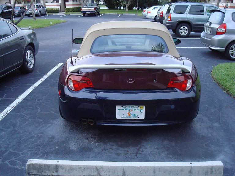 DSC08466.jpg