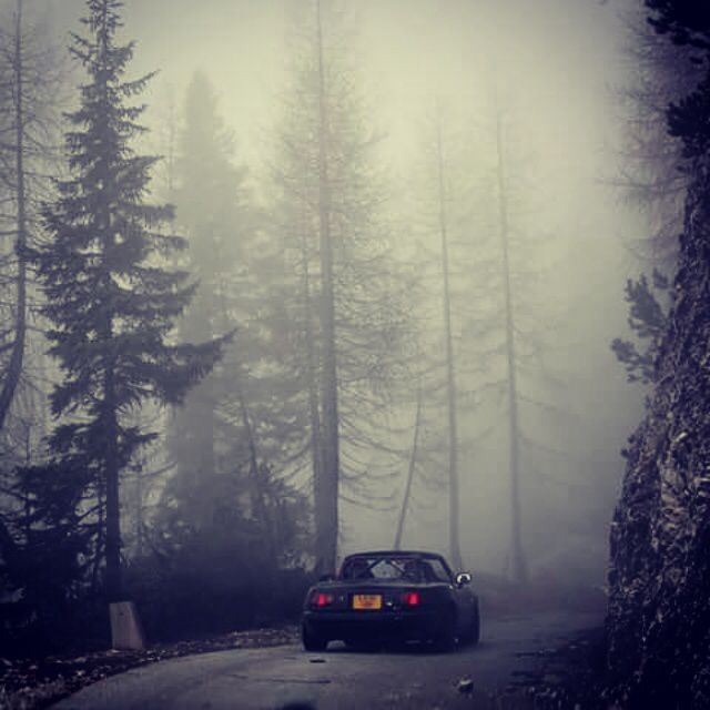 7edc33308731f6b06502660b52c19443_zpsayy95ioo.jpg