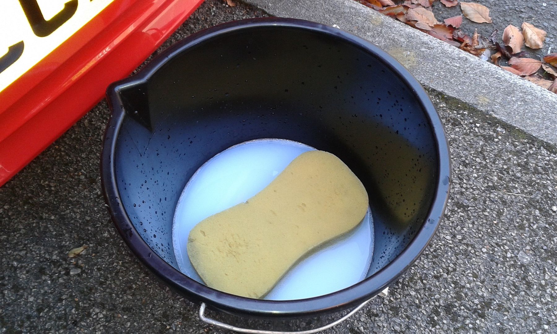 product%20in%20bucket_zpsksrq6umn.jpg
