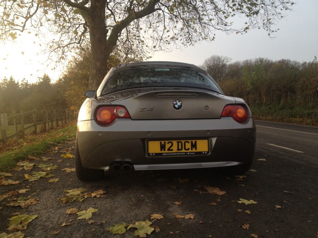 bmwz4010.jpg