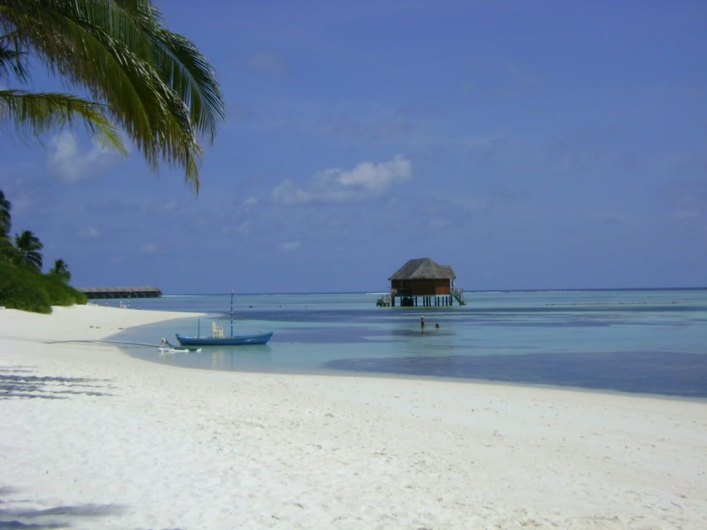 October2010121.jpg
