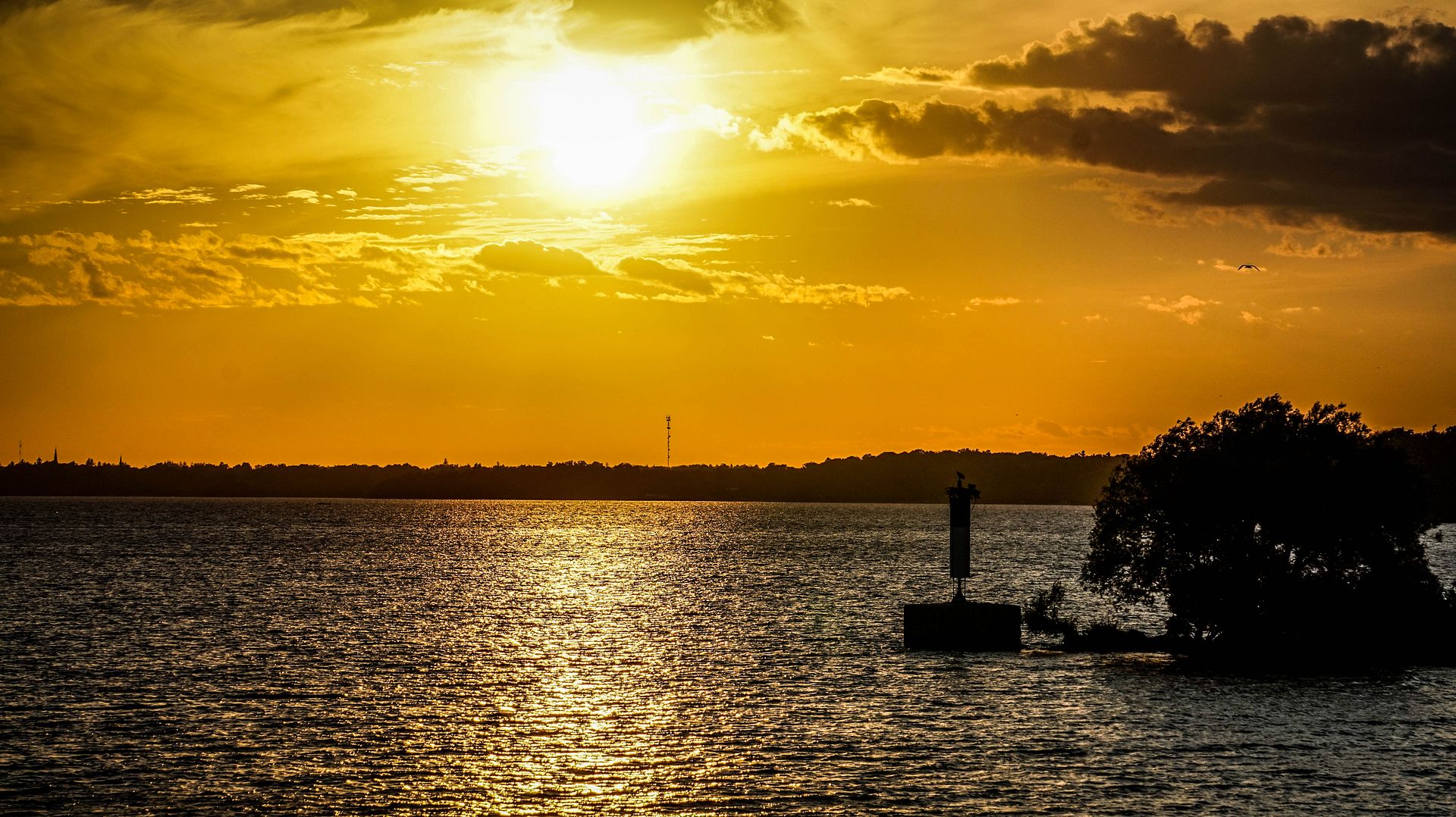 DSC01245_zps7wtfvty2.jpg
