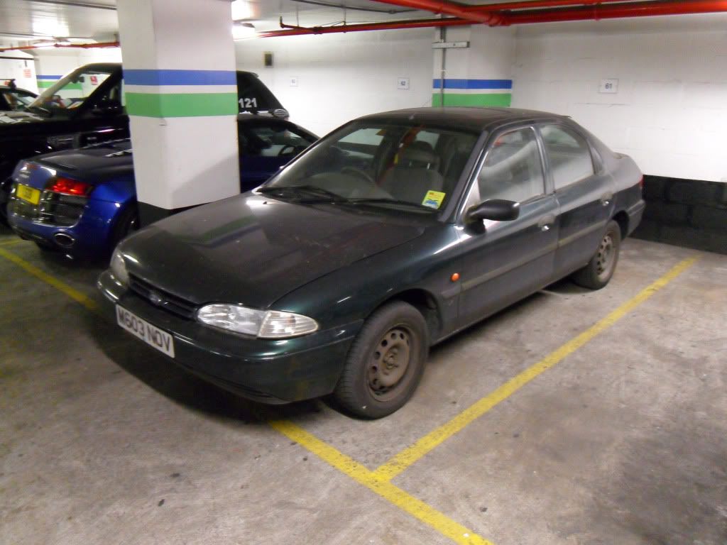 SDC12516.jpg