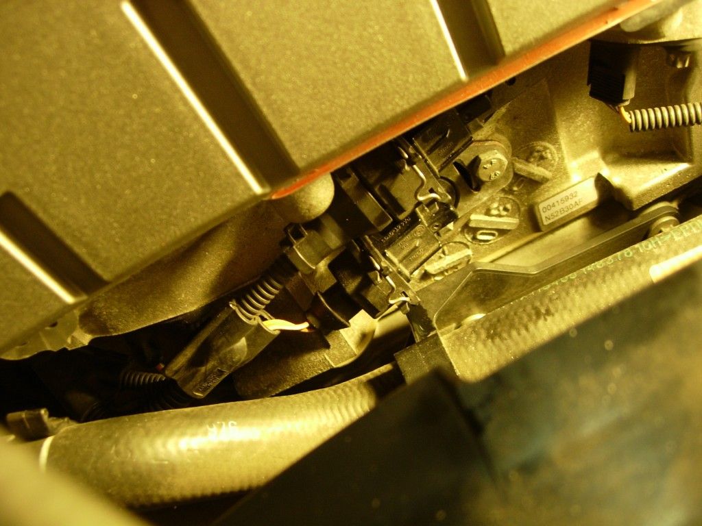 DSCN8233.jpg