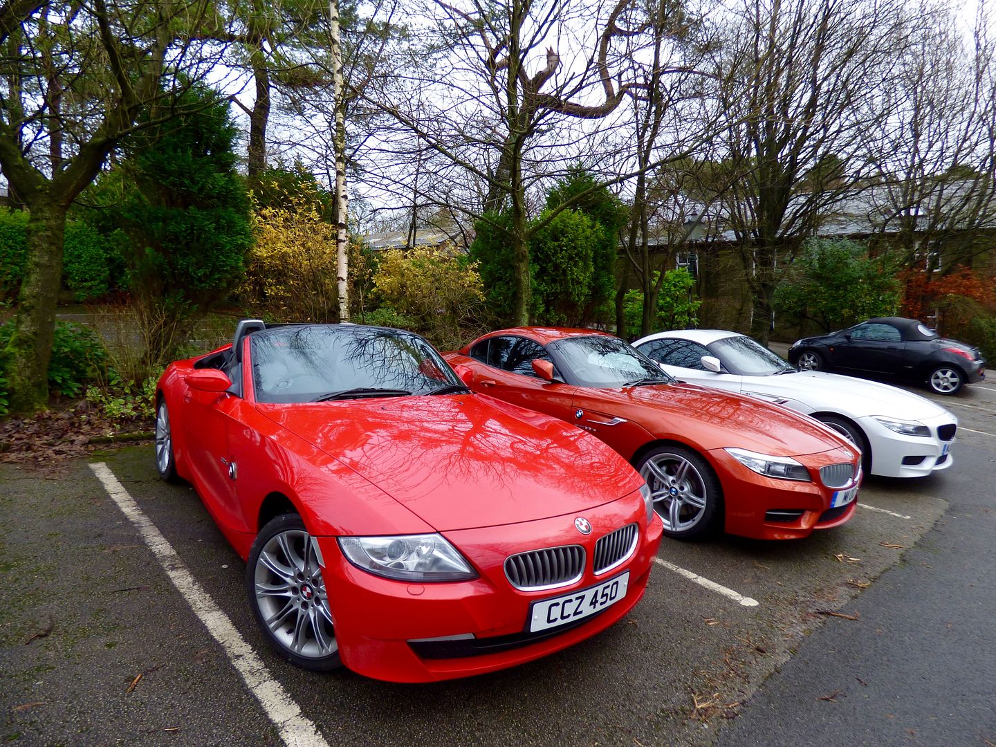 P1020930_zps2vo0qscs.jpg