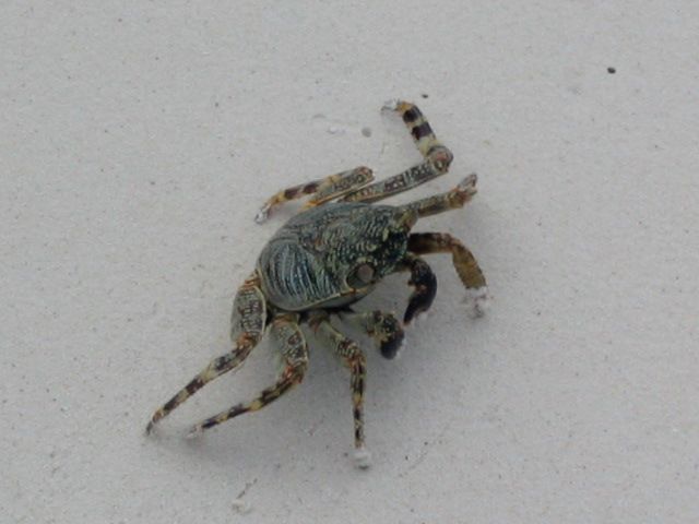 103_0306_zps89948ded.jpg