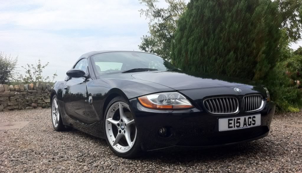 z43.jpg