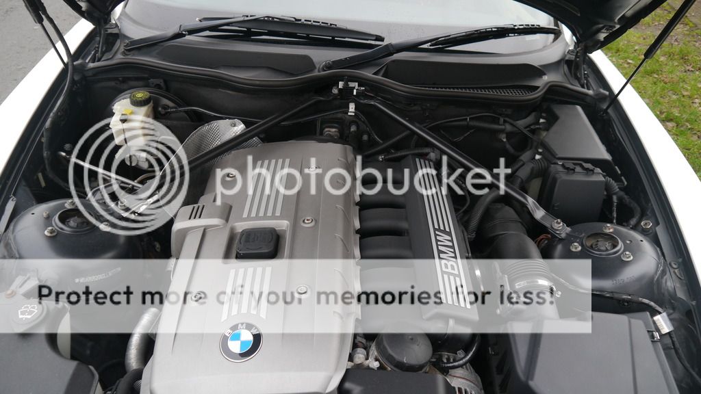 P1060063_zpskj83r9wv.jpg
