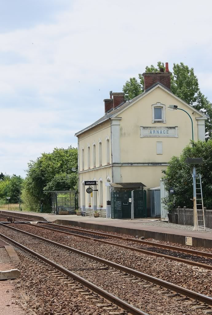 2603.jpg