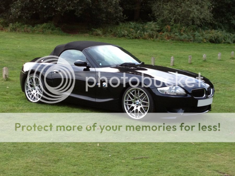 Z4Clumber2.jpg