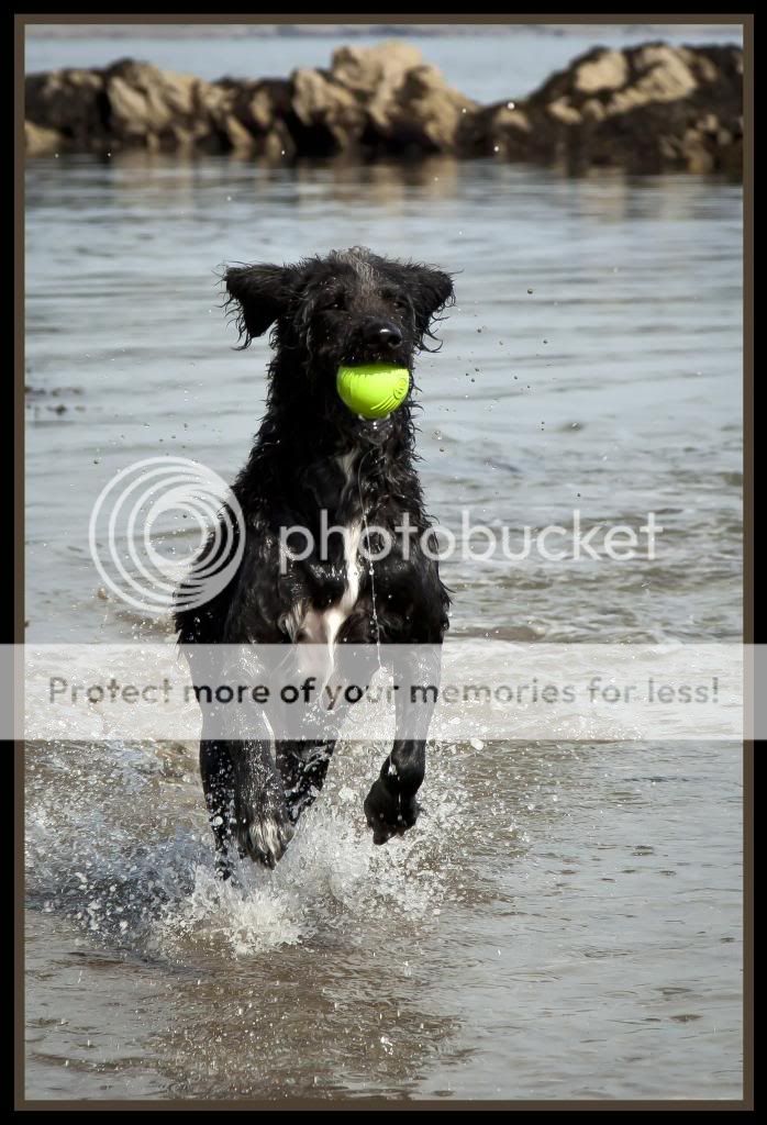 splash_by_grimleyfiendish-d5eco30.jpg