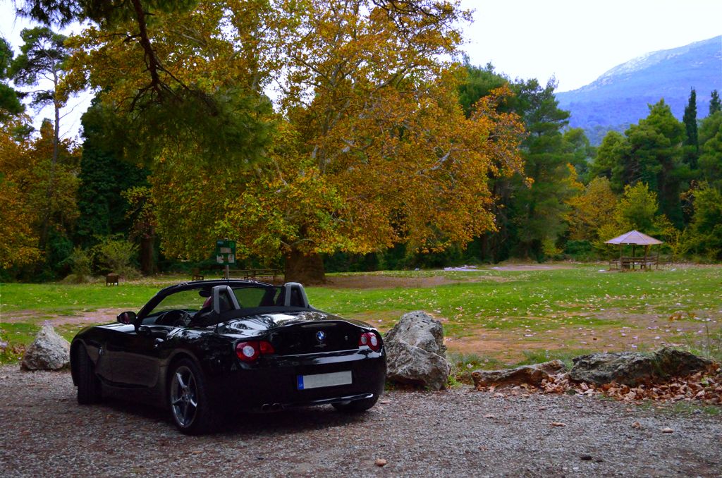 DSC_1837copy1.jpg