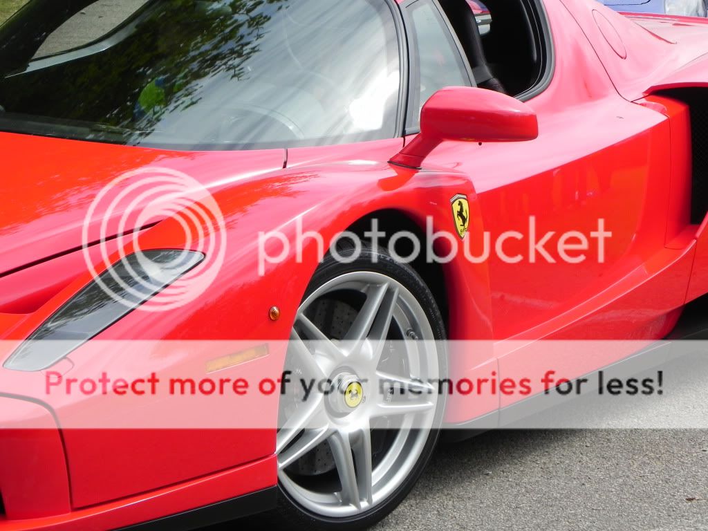 DSCN8730.jpg