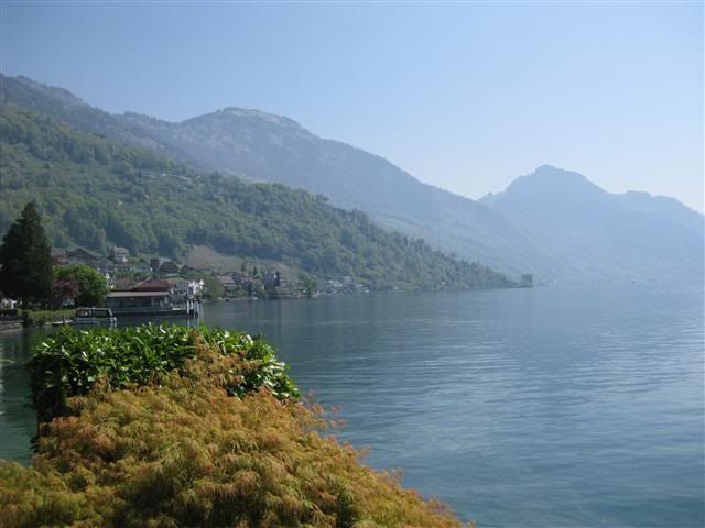 IMG5.jpg