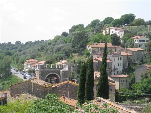 IMG12.jpg