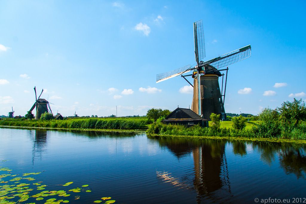 _MG_8010.jpg