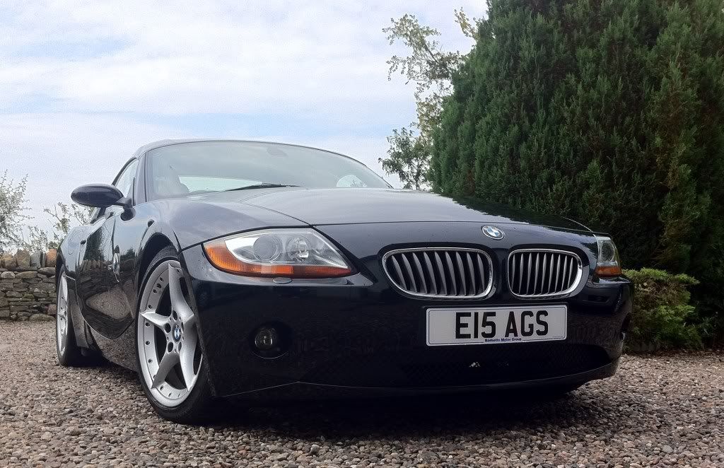 z42.jpg